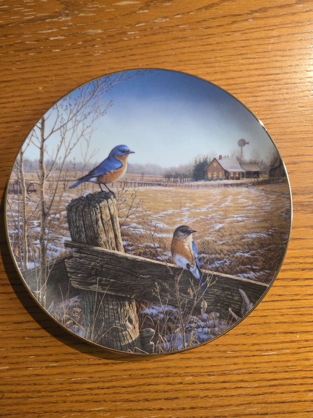 Country Blue By Sam Timm Decorative Bluebird Collector Plate